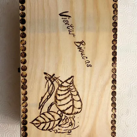 Tatil Evi Visitar-bioucas-ii-al-q-casa-tradicional-familiar-rnal-30294-al Souto (Santarem)