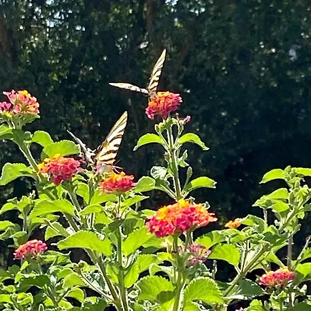 Holiday home Visitar-bioucas-ii-al-q-casa-tradicional-familiar-rnal-30294-al Souto (Santarem)