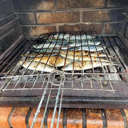 Visitar-bioucas-ii-al-q-casa-tradicional-familiar-rnal-30294-al Holiday home Souto (Santarem)